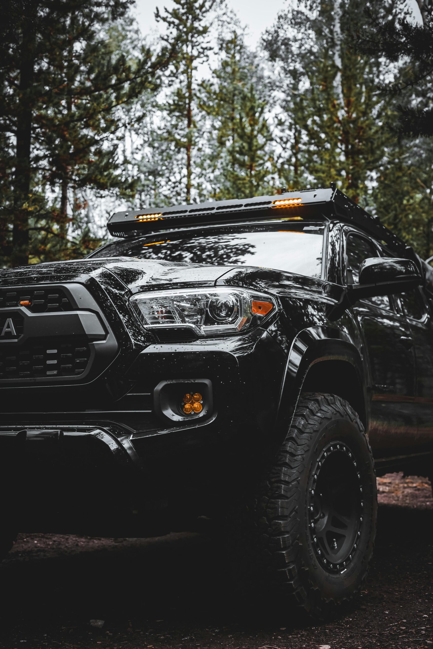 Close-up of a black pickup truck in a scenic forest, emphasizing off-road capabilities.